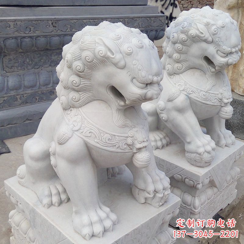 合肥新“北京狮之威”