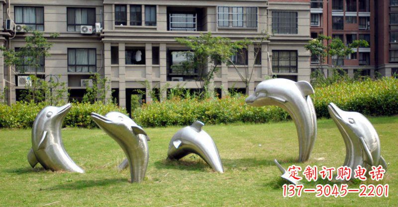 合肥海豚的浪漫