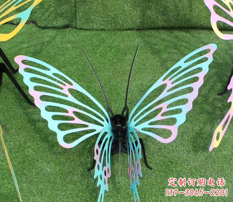 合肥彩色不锈钢镂空蝴蝶雕塑
