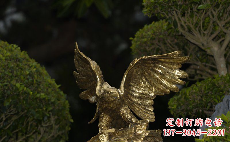 合肥大鹏展翅老鹰铜雕 (3)