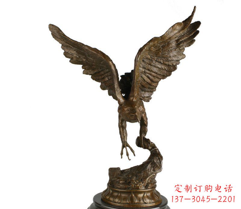 合肥大鹏展翅老鹰铜雕 (2)