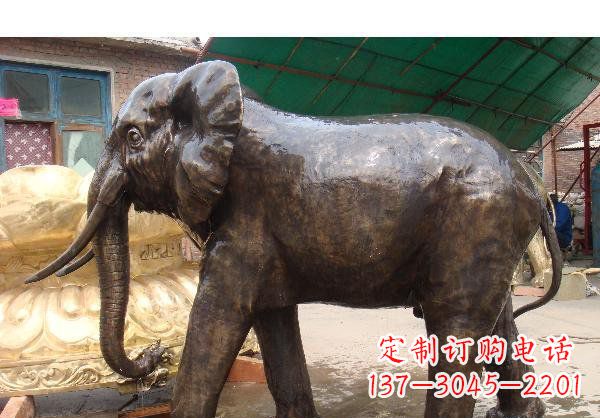 合肥精美大象铜雕塑