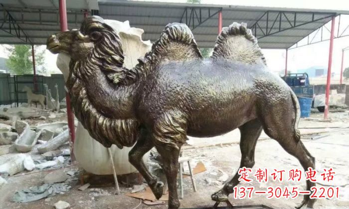 合肥铜雕骆驼,精致优雅