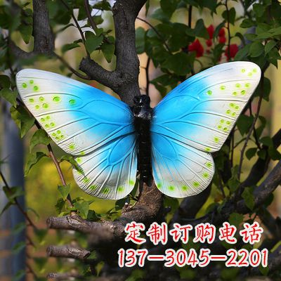 合肥精致风韵,蓝白蝴蝶雕塑
