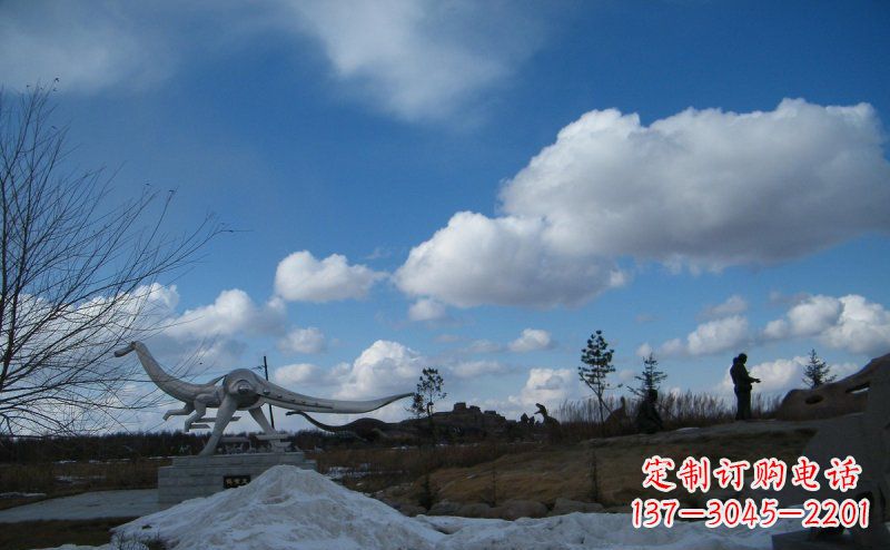合肥超大不锈钢动物恐龙雕塑