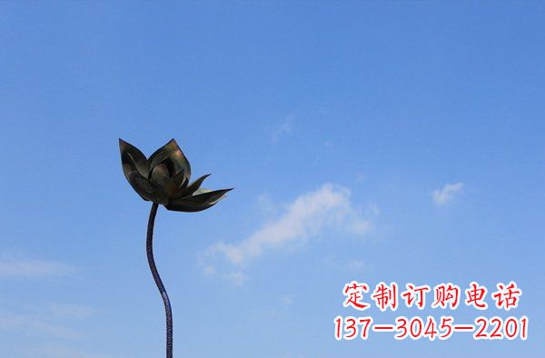 合肥公园不锈钢荷花雕塑