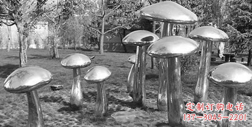 合肥萌芽之美,蘑菇景观雕塑