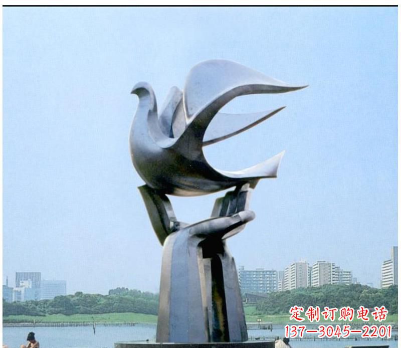 合肥静谧之鸽,传递和平象征~