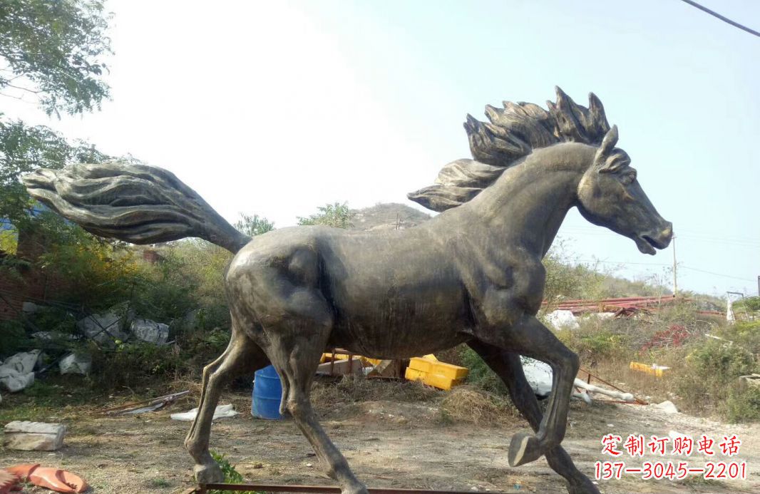 合肥独特的动物雕塑