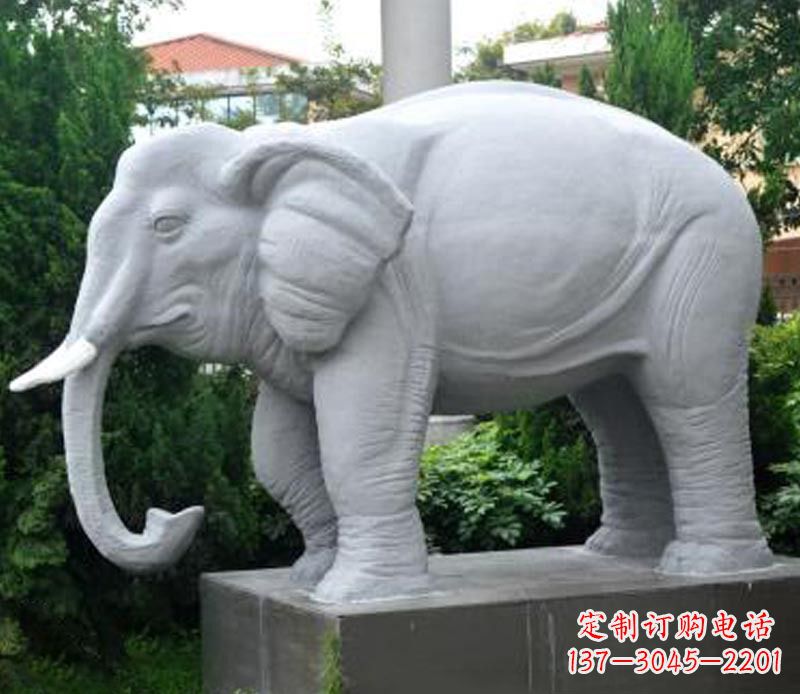 合肥大象大理石石雕