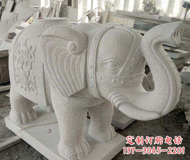 合肥令人惊叹的大象石雕