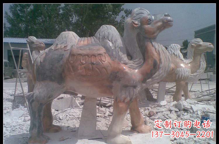 合肥公园动物骆驼石雕222