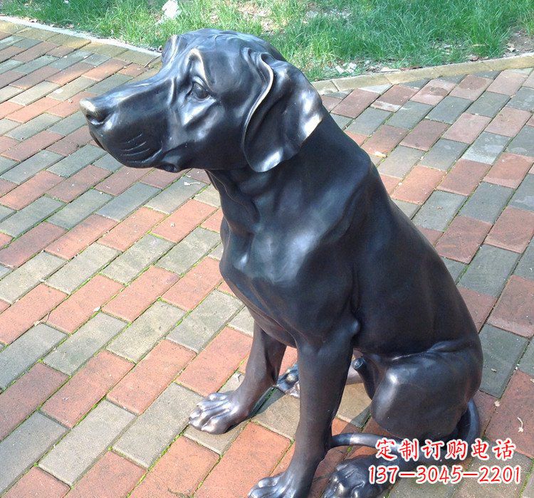 合肥公园动物铜雕狗