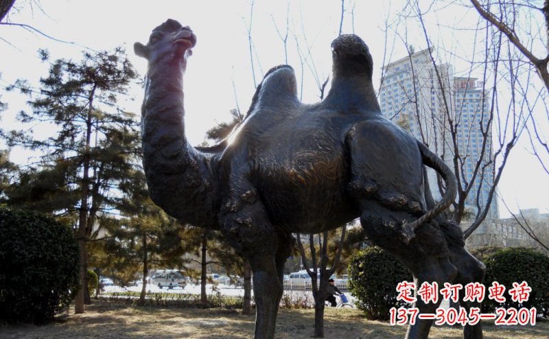合肥优美雕刻骆驼铜雕塑