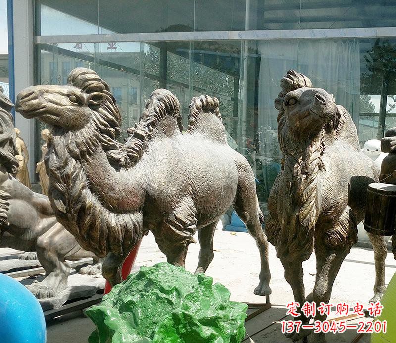 合肥公园骆驼动物铜雕 (2)