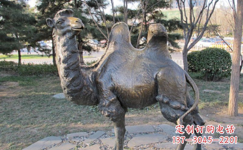 合肥铜骆驼雕塑——浓缩自然美丽
