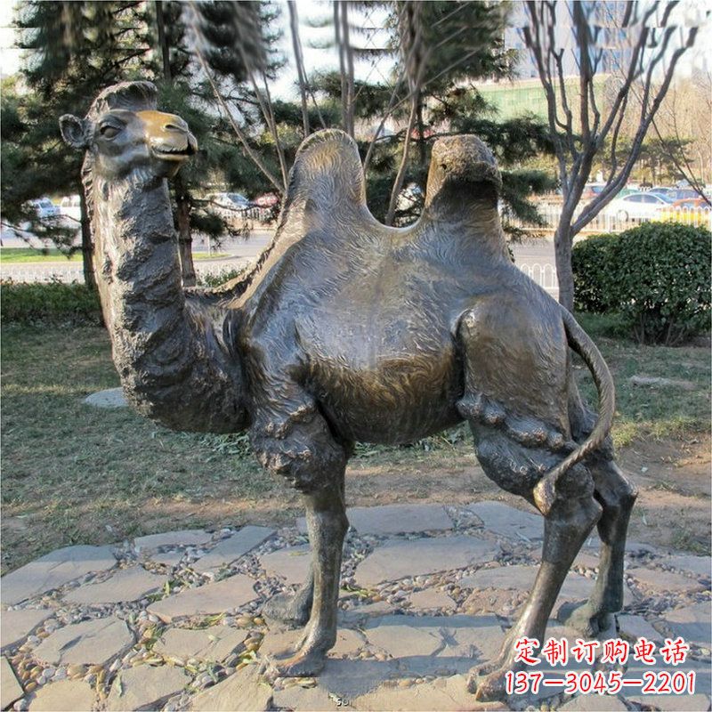 合肥公园骆驼动物铜雕摆件