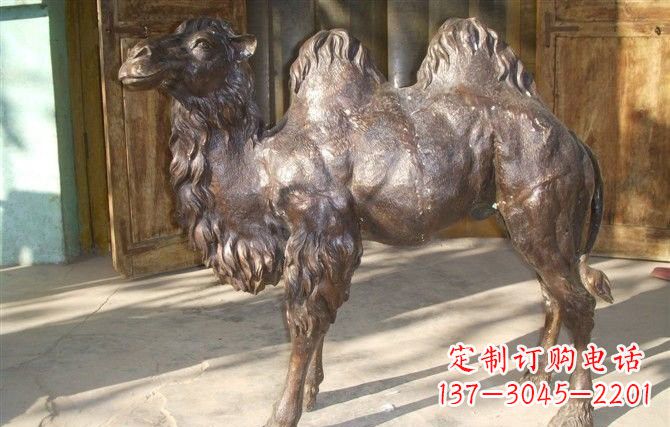 合肥公园骆驼铜雕222