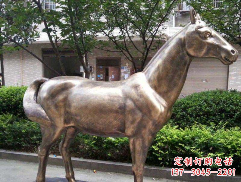 合肥精美铜雕动物