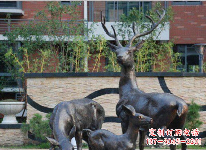 合肥古雅优雅的梅花鹿铜雕