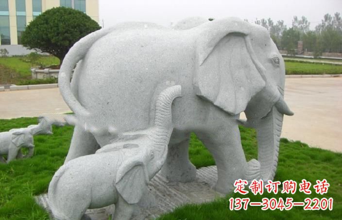 合肥传神静谧的大象石雕