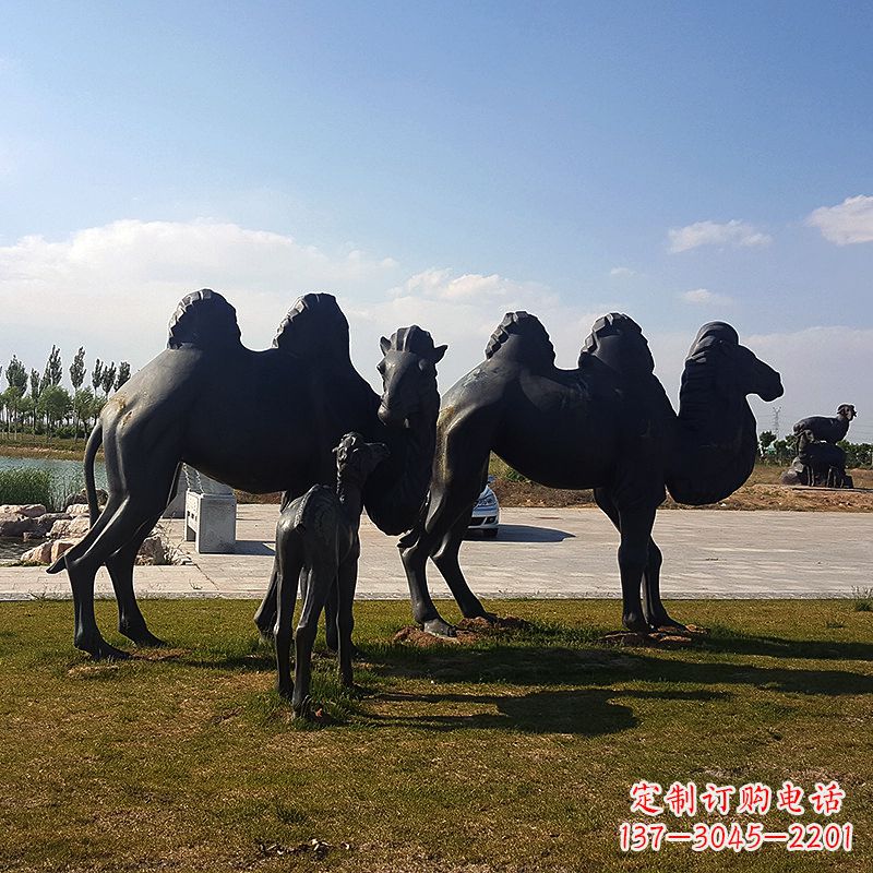 合肥铜骆驼雕塑,精致景观装饰
