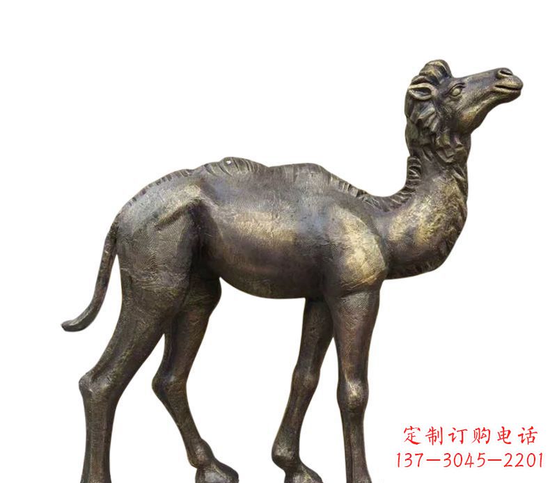 合肥奇美洁净的骆驼铜雕