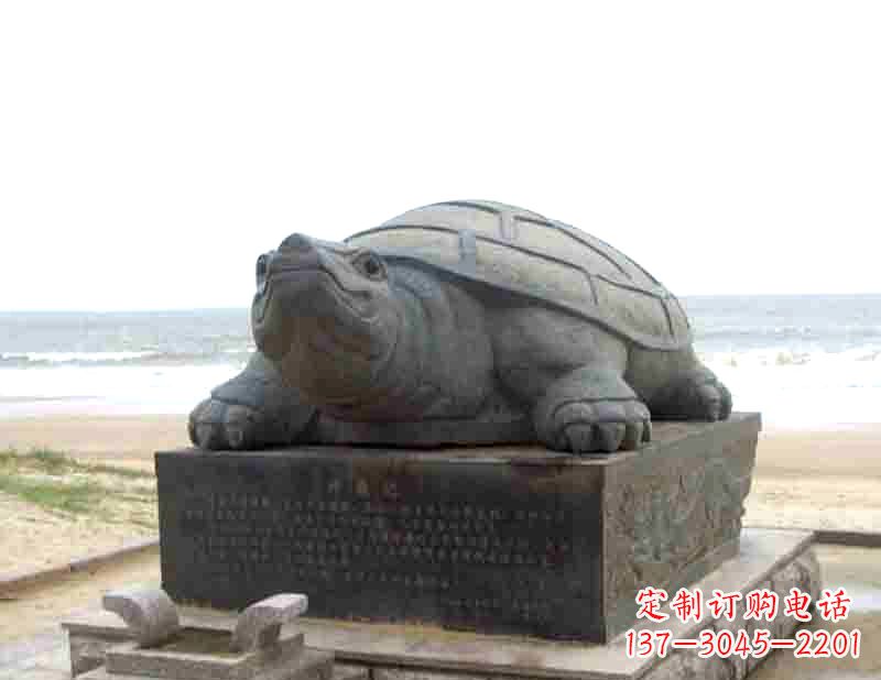 合肥时尚精致的乌龟铜雕