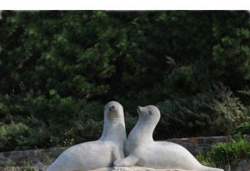 合肥令人惊叹的海豹石雕塑