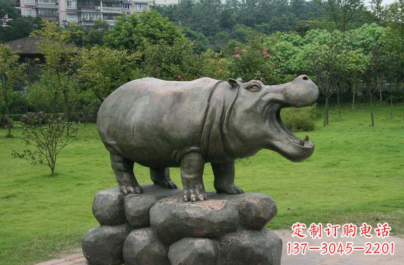 合肥海洋动物河马铜雕塑
