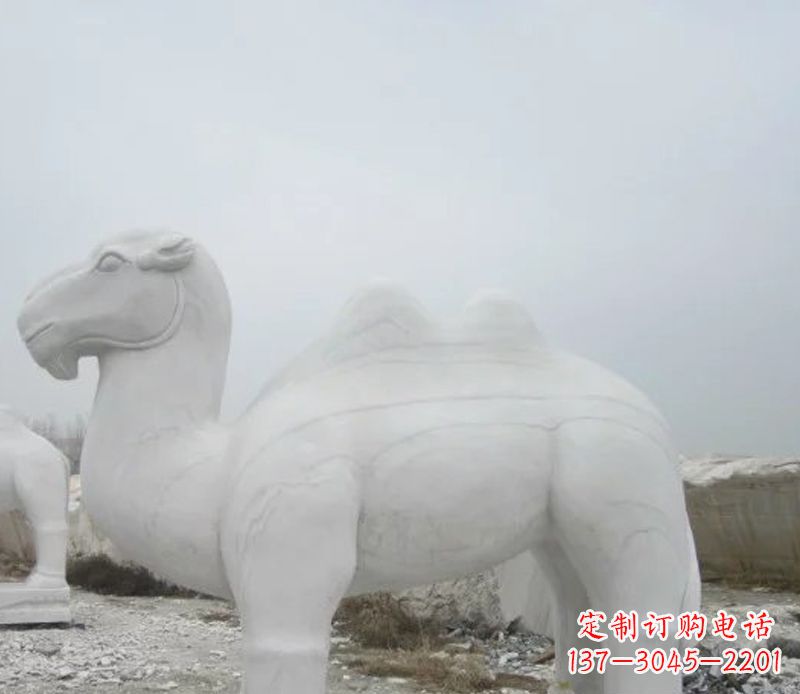 合肥汉白玉骆驼石雕塑,装点家居空间