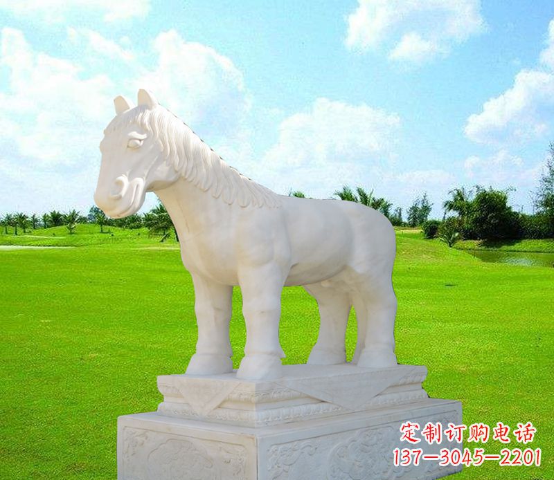 合肥汉白玉马石雕广场动物雕塑