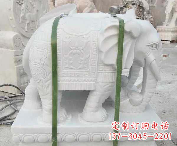 合肥汉白玉招财大象石雕 (2)