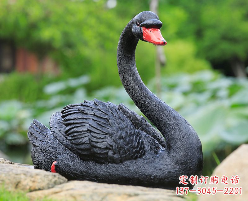 合肥精致高端的黑色天鹅雕塑