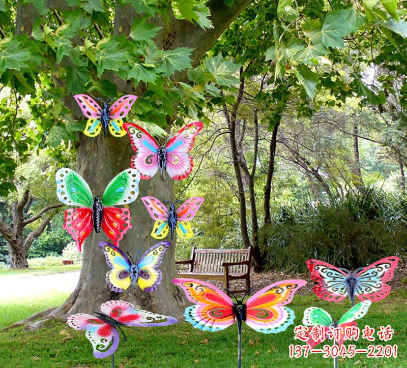 合肥缤纷色彩的蝴蝶插挂件