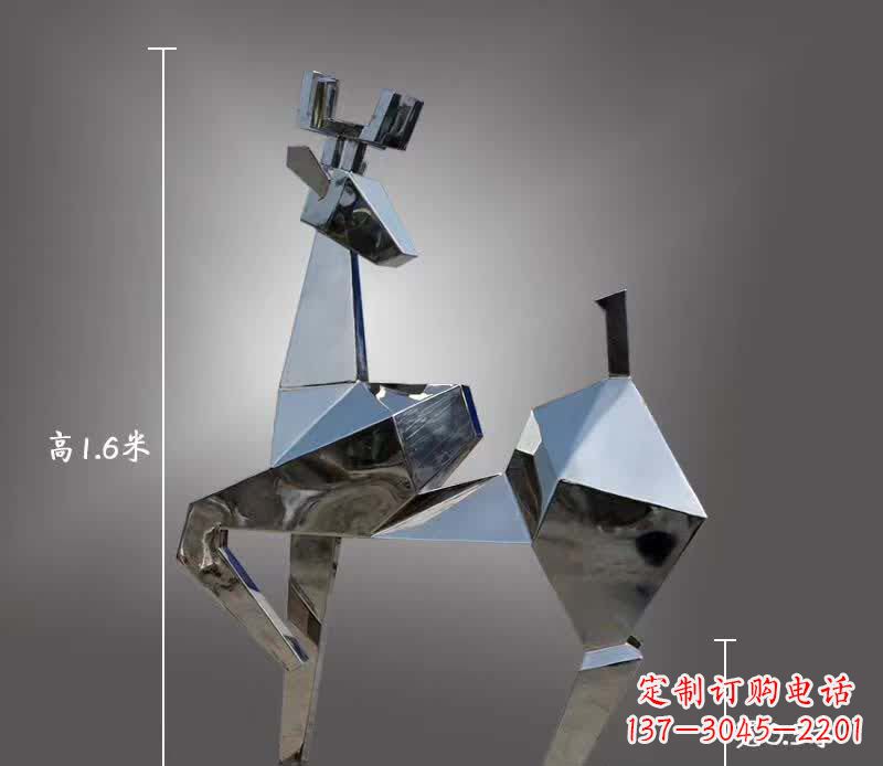 合肥让精致梅花鹿驻马店,尽享它的美丽瞬间