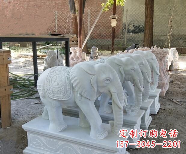 合肥美轮美奂的大象雕塑