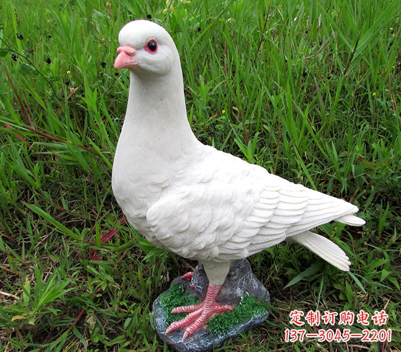 合肥角斗士广场鸽子雕塑