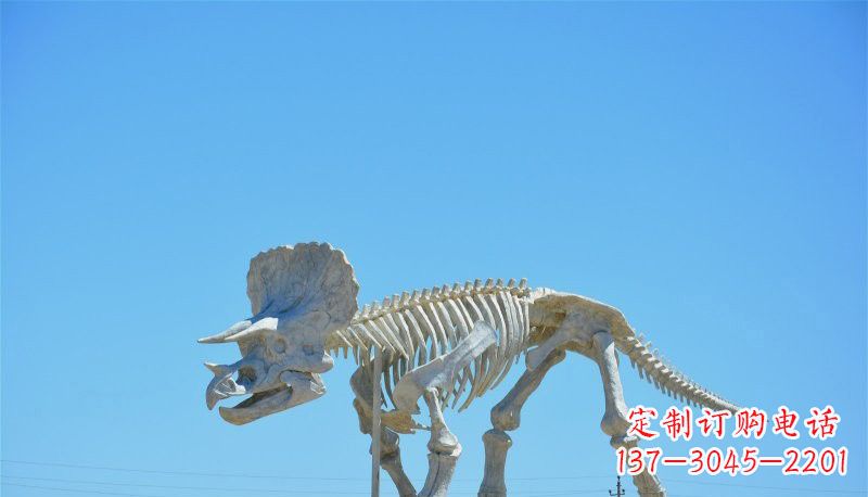 合肥玻璃钢恐龙雕塑——悠久历史瑰宝