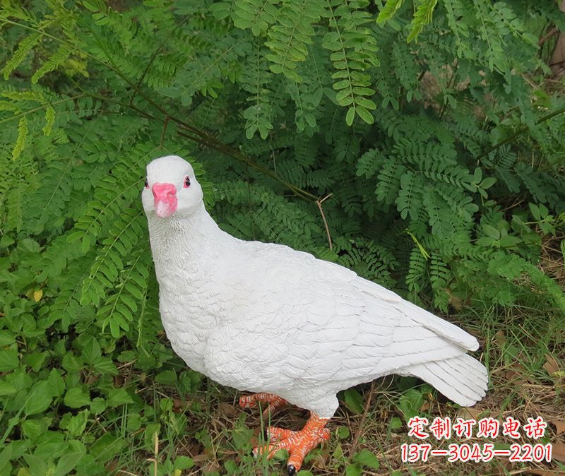 合肥灵鸽雕塑鸽子呢