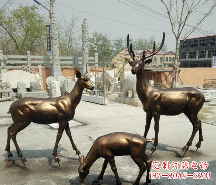 合肥感受自然魅力的动物铜雕