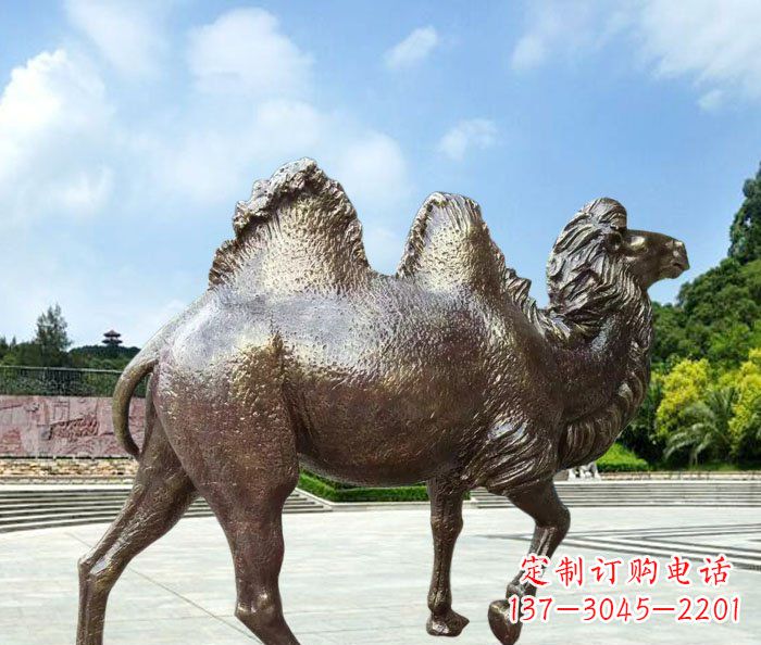 合肥骆驼动物铜雕 (2)