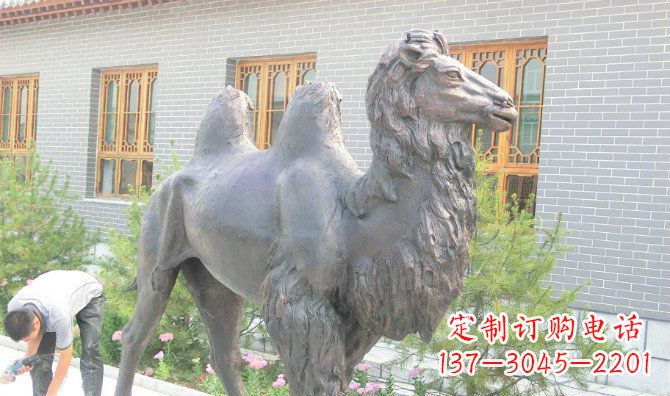 合肥精美的骆驼铜雕,提升您的公园气质