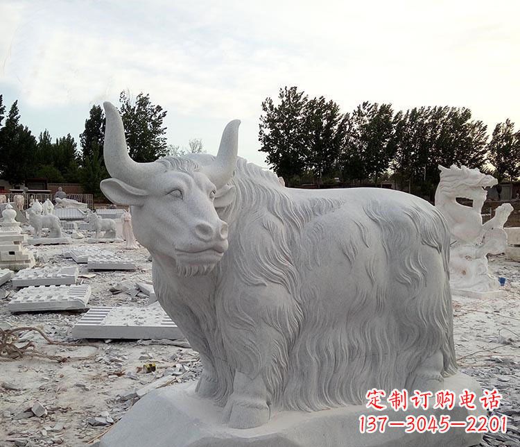 合肥牦牛石雕为您的空间定制独一无二的装饰