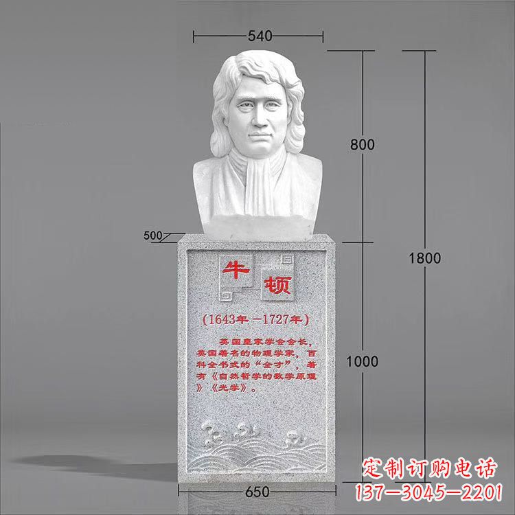 合肥艺术精灵:牛顿汉白玉石头像雕塑