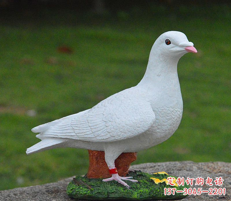合肥美丽的和平鸽雕塑,传递暖暖的正能量
