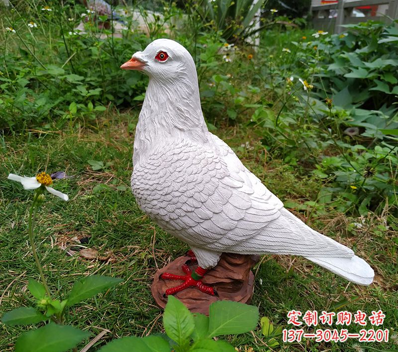 合肥为和平献芳礼:精美少女与和平鸽雕塑