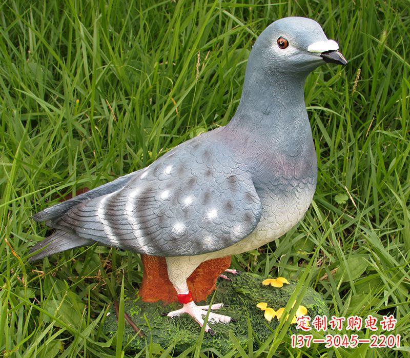 合肥专业定制石雕鸽子,精致品质造就美好氛围