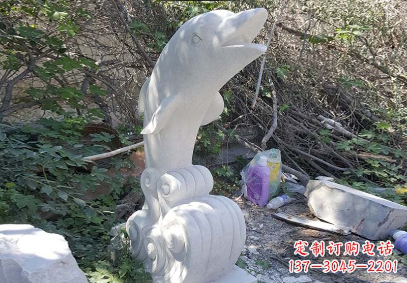合肥海豚雕塑:悠闲无比的精灵