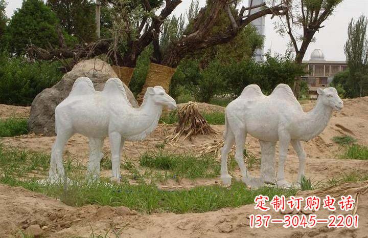 合肥欣赏大自然,石雕骆驼公园动物雕塑邀请您